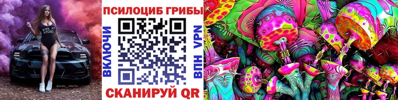 купить   Кинель  Галлюциногенные грибы Magic Shrooms 