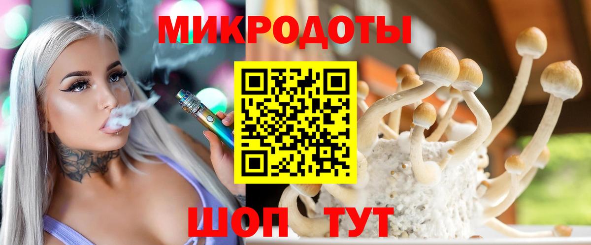 купить  цена  Псилоцибиновые грибы мицелий  Вход с VPN  Псилоцибиновые грибы прущие грибы  Кинель 