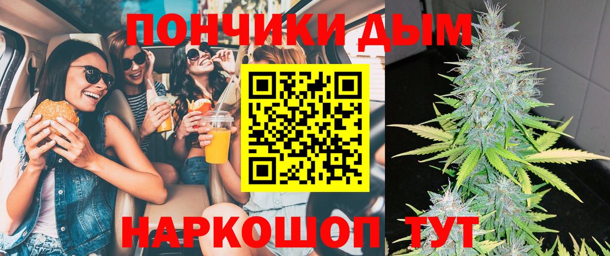 Шишки марихуана конопля  Вход с VPN  Марихуана план  Каннабис Bruce Banner  Кинель  Марихуана Bruce Banner 